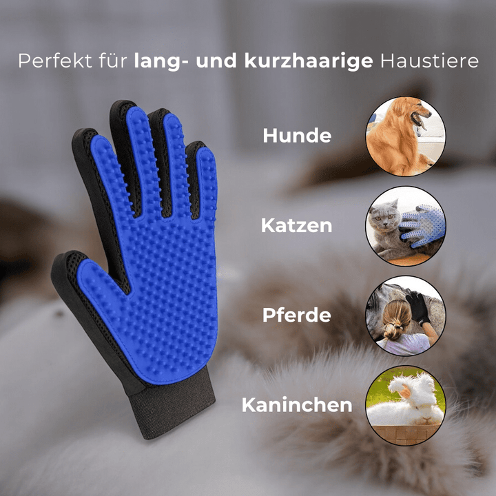 Premium Haustierpflege Handschuh