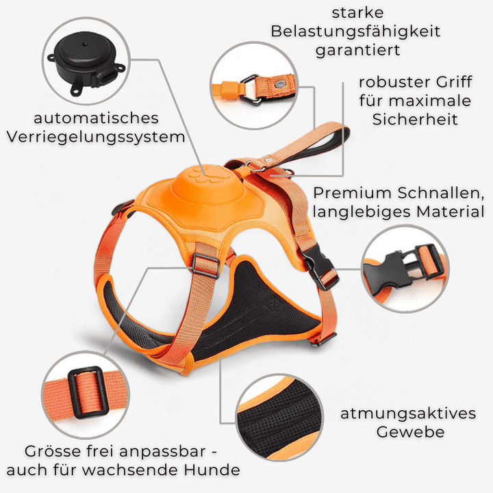 Premium Hundegeschirr